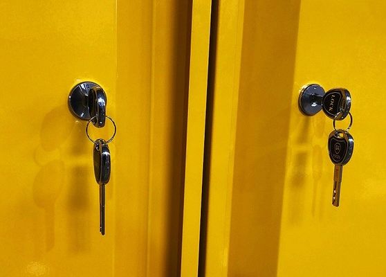 comprar Cabinet de almacenamiento de productos químicos con dimensiones de 109x46x123CM, 109x46x165CM y 109x86x165CM para el almacenamiento de materiales peligrosos Fabricación en línea