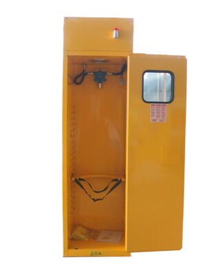 comprar Laboratorios Gabinete de almacenamiento de gas de cilindro único Solución práctica para el manejo controlado del gas Fabricación en línea